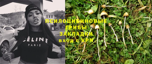 спайс Горнозаводск