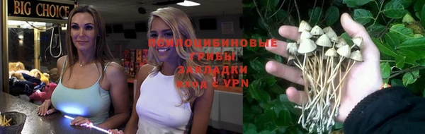 прущая мука Горняк