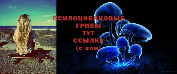скорость Вязьма